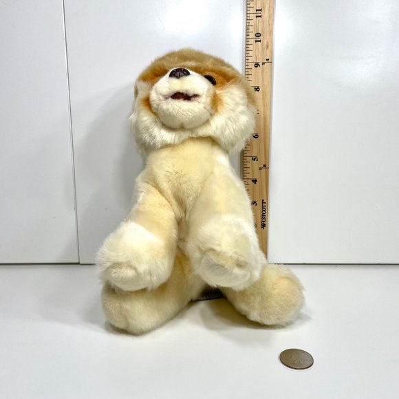 GUND Boo The World’s Cutest Dog Pomeranian Plush - Picture 10 of 13